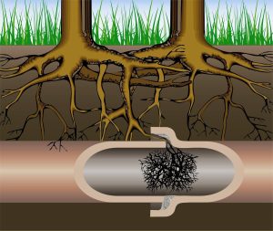root-ingress-blackpool-drainage