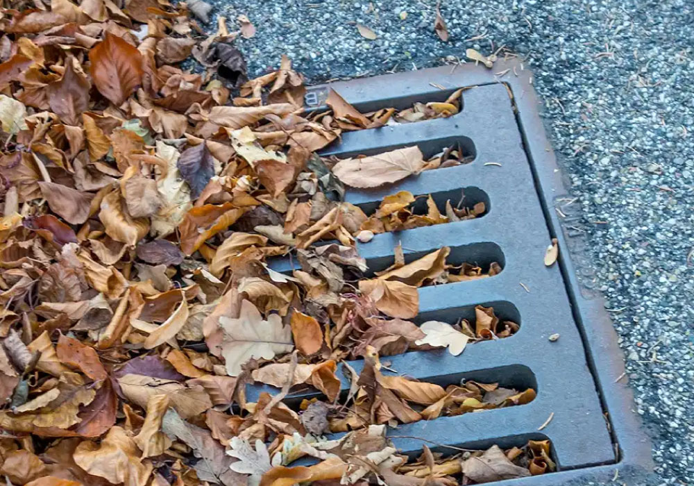 Blocked External Gully Drain? How a Blackpool Specialist Clears Residential Backups