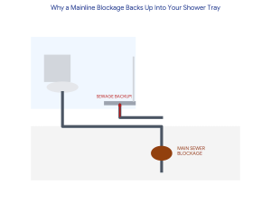 Sewer Backup into Shower? Causes & Fast Local Fixes
